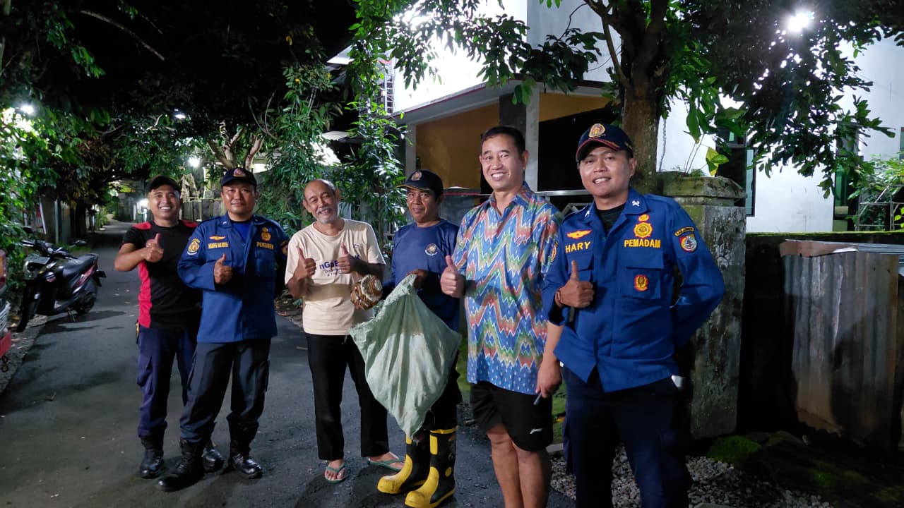 Respon Cepat Damkar Jember, Sarang Tawon Vespa di Rumah Warga Sumbersari Berhasil Dievakuasi